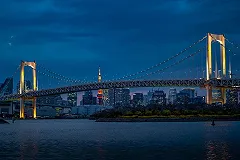 Французские специалисты займутся ремонтом вантового моста на остров Русский