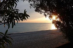 Уральские туристы пожаловались на забитые людьми пляжи в Сочи