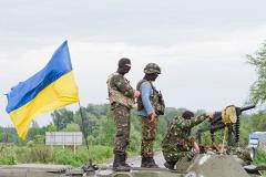 В украинском лесу собрали «урожай» гранатометов