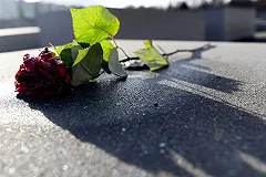 Неизвестная поклонница передала Улюкаеву пять белых роз