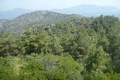 В Краснодарском крае за гибель трех детей в ДТП будут судить водителя экскурсионного автобуса