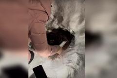 В Березовском ребёнок спас замерзающих щенков