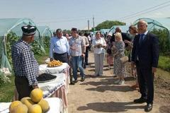 Таджикистан поставит в Екатеринбург крупную партию арбузов премиальных сортов