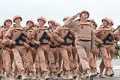 Арестованы сирийские зенитчики, сбившие российский Ил-20. Ищут диверсанта