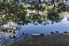 МЧС: Дымка в Екатеринбурге появилась из-за слабого ветра и высокой влажности