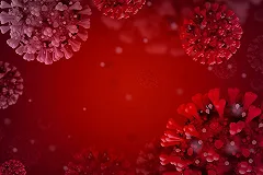 Вирусолог объяснил, почему некоторые люди переносят коронавирус бессимптомно