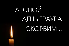 По делу о ДТП с 7 погибшими в Лесном задержаны еще двое подозреваемых