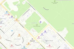 Стало известно, кто и зачем вырубает деревья в Берёзовой роще Академического