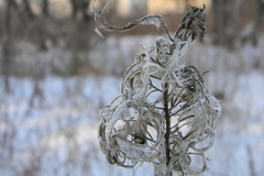 Предстоящая зима будет с отклонениями в теплую сторону