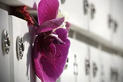 В Екатеринбурге на кладбище домашних животных начали хоронить людей