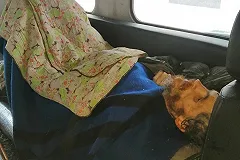 На Байкале спасли истощенного туриста с Урала