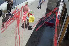 В Анапе лошадь, которую привели на пляж, затоптала ребенка