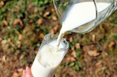 В Свердловской области обнаружили кишечную палочку в молочной продукции