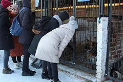 Школьники и студенты побывали на кинологической базе свердловского ГУ МВД