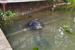 В Нижнем Тагиле в водоёме утонул пенсионер