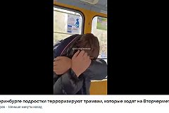 Трамваи могут перестать ходить на Вторчермет из-за подростковых «банд»