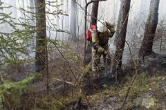 В Свердловской области сократилась площадь пожаров