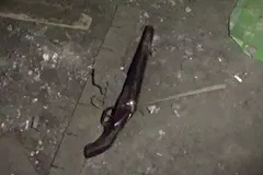 Задержанные ФСБ саратовские школьники отказались от признаний в подготовке бойни