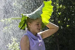 В эти выходные в Екатеринбурге по-прежнему не будет лета