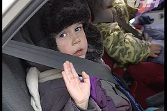 В России вводят скидку 50% при досрочной уплате штрафов за НПДД