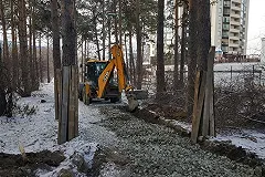 Урбанист показал, в каком состоянии Зеленая роща уходит в зиму (ФОТО)