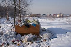 Мужчину, чей торс нашли на мусорке в Челябинске, разрубила на части его бабушка