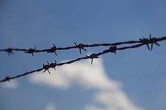 В Екатеринбурге около ИК-2 с собаками ловили человека в бушлате