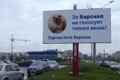 Вслед за Навальным баллотироваться в президенты решил кот Барсик