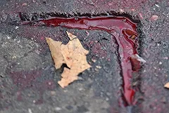 В Екатеринбурге 5-летняя девочка осталась жива, после того как ее сбил КамАЗ