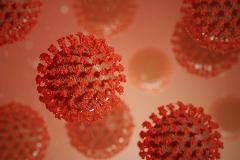 Учёные раскрыли точный механизм воздействия коронавируса на организм человека