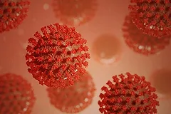 Учёные раскрыли точный механизм воздействия коронавируса на организм человека