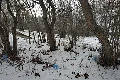 Врач дала советы по адаптации к резкой перемене погоды