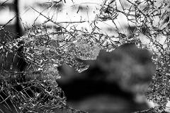 В Екатеринбурге женщина выпала из окна роддома и погибла