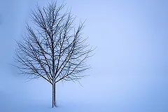 На этой неделе в Екатеринбурге похолодает до -27 градусов