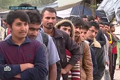 Премьер Чехии призвал повысить рождаемость среди коренного населения ЕС