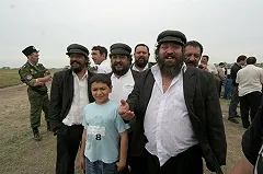 Цыгане, протаранившие на повозке с лошадью иномарку, возместили ущерб