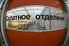 Отравившимся салатами из «Окей» жителям Сургута поставили диагноз «сальмонеллез»