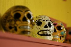 В Мехико обнаружили 30-метровую стену из человеческих черепов