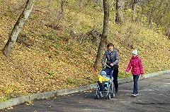 У «Кировского» на ЖБИ вырубили аллею под строительство торгового центра