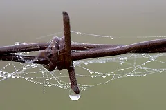 Беспредельщика с Пионерки Игоря Новоселова отправили в СИЗО