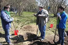 Первый промышленный плодовый сад высаживают на Урале