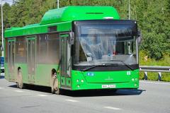 Мичуринский и Академический свяжут автобусным маршрутом