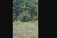 Чьи-то приготовления к поджогу сухой травы обнаружили в Нижнем Тагиле