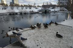 В Екатеринбурге скоро начнется голосование по выбору парка для благоустройства в 2023 году