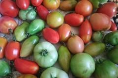 «Бабушки» рассказали, как формируют цены на свои помидоры