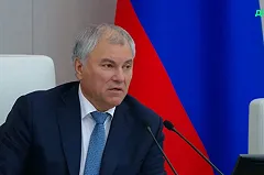 Госдума приняла в I чтении законопроект о запрете пропаганды чайлдфри