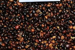 Для молочных продуктов с пальмовым маслом введут специальную маркировку