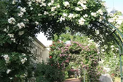 Выставочные сады ландшафтных дизайнеров появятся в сквере у Дворца молодежи