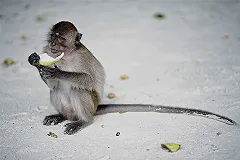 «Будем молиться». Эксперты сделали прогноз на зимнее международное авиасообщение