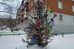 В ЕМУП «Спецавтобаза» напомнили, как правильно выбрасывать елку